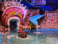 -烟台海昌鲸鲨海洋公园