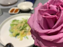 -蒲叙(凯天国际店)