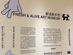 -分子跳动鲜活面包(五一大道店)