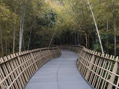 -福道