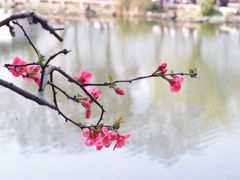 -沧浪亭