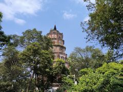 -顺峰山公园