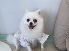 -怪兽屋·羊驼·猫咖·狗咖(俊华广场店)