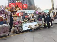 -万达广场(泰安泰山店)