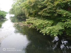 -西湖外事游船(花港观鱼码头)