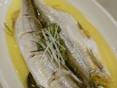 清蒸白鱼-苏苑饭店-中餐厅(长桥地区店)