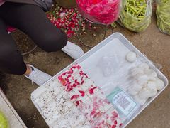 -南门绿玉农贸市场