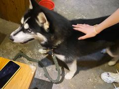 -石头会唱歌融来+北港岚台两岸交流中心