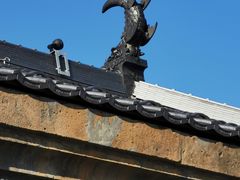 -小樽运河广场(運河プラザ)