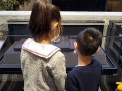 -北京周口店北京人遗址博物馆