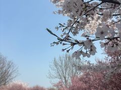 -江苏三台山国家森林公园