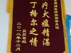 -中农大我爱我爱24h动物医院·中医针灸·猫专科·骨科医疗中心(双井店)