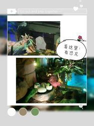 -恐龙探索乐园(磁器口店)