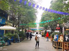 -泡桐树街