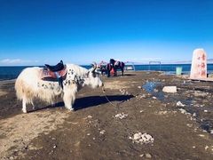 -青海湖国家重点风景名胜区