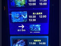 -哈尔滨波塞冬海底世界