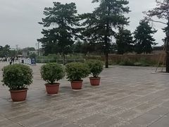 -秦始皇帝陵博物院-丽山园