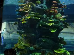 -福州罗源湾海洋世界旅游区