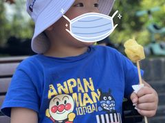 -枫香湖儿童公园