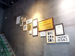 点击看大图 -U-Nail