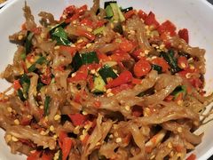 鸭掌筋-壹盏灯(惠农店)