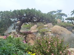 -罗红摄影艺术馆