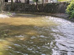 -天目湖松岭竹海漂流
