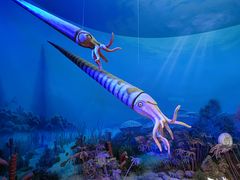 -国家自然博物馆