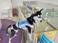 -怪兽屋·羊驼·猫咖·狗咖(俊华广场店)