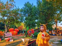 -HERRE·FARM 赫尔露营农场·团建聚会包场