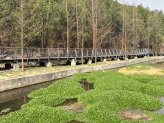 -白水寺森林公园