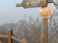 -大岭沟猕猴桃谷风景区