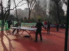 -西安市长乐公园