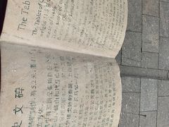-天马广场