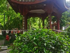 -杭州西湖风景名胜区-满觉陇四眼井