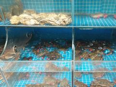 -宾朋海鲜饭庄(兴海路店)