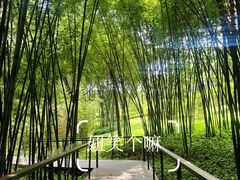 -云溪植物园