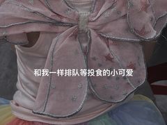 -正宗阳山牛杂(东城店)