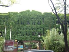 -申德勒加油站餐厅(三里屯北小街店)