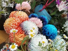 -卓花境Flowerwonderland花店
