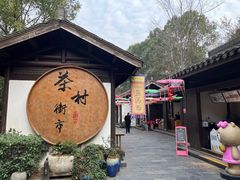 -天目湖山水园