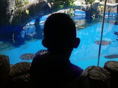 -泉城欧乐堡海洋极地世界