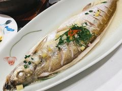 清蒸白鱼-香雪海饭店中餐厅(人民桥店)