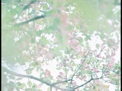 -徐州博顿温德姆酒店(高铁东站店)