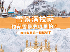 -布达拉宫