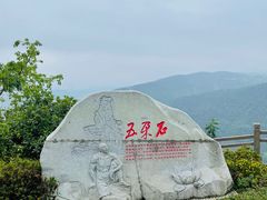 -铁山坪森林公园