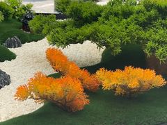 -玉华台饭庄·淮扬菜·烤鸭(望京店)