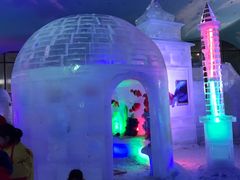 -世界之窗阿尔卑斯冰雪世界