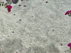 -卡帕莱度假村(西巴丹岛)