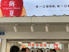 -树夏(建设路店)